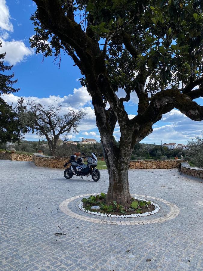 Quinta Da Rocha 1875 Villa Pedrogao Pequeno Bagian luar foto